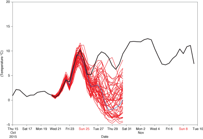 Temperature forecast plume