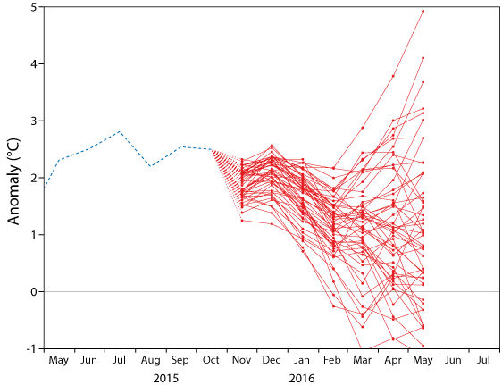 ECMWF NINO1+2 forecast plume 1 Nov 15