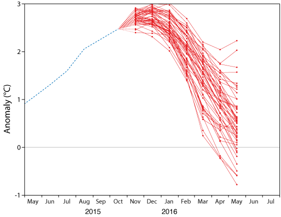 ECMWF NINO3.4 forecast plume 1 Nov 15