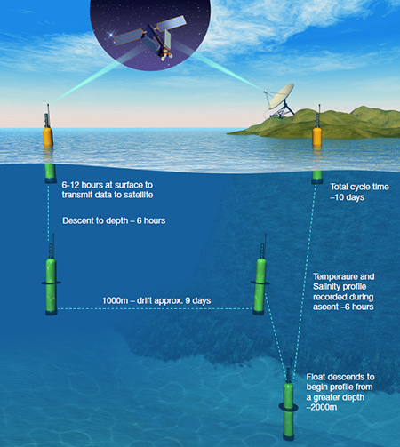 Argo float cycle graphic