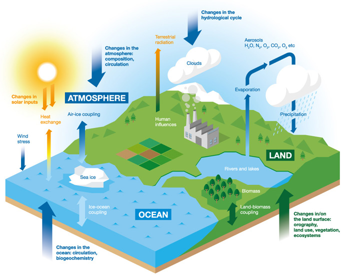 Earth system processes relevant for NWP