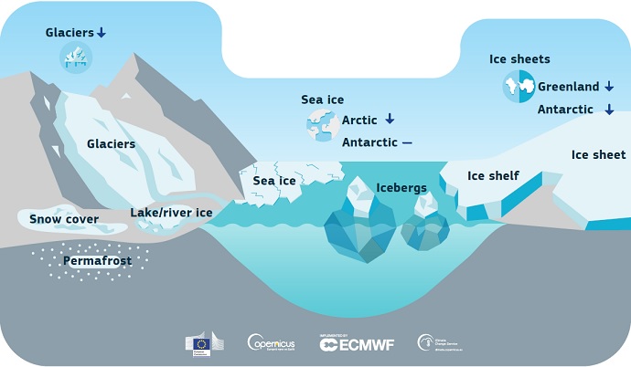 C3S indicators in the cryosphere