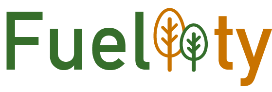 Fuelity logo