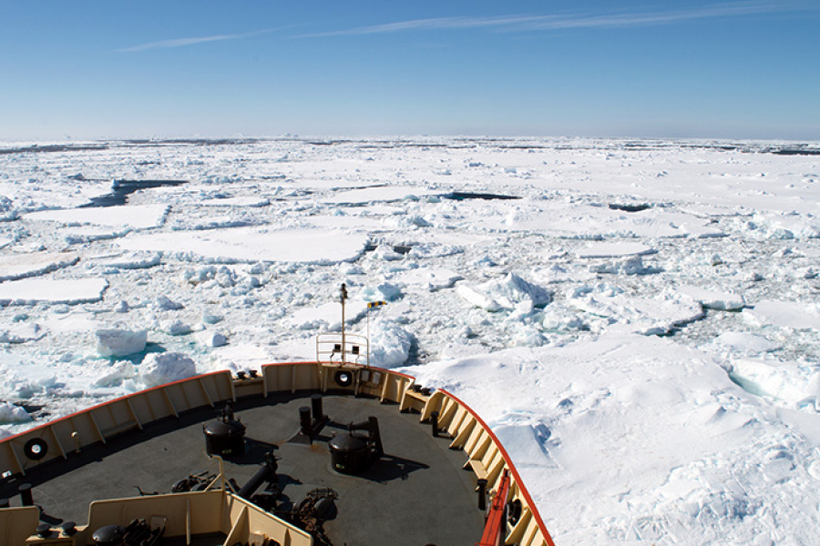 Arctic sea ice