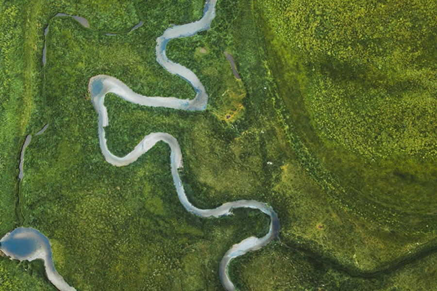 River in green lands