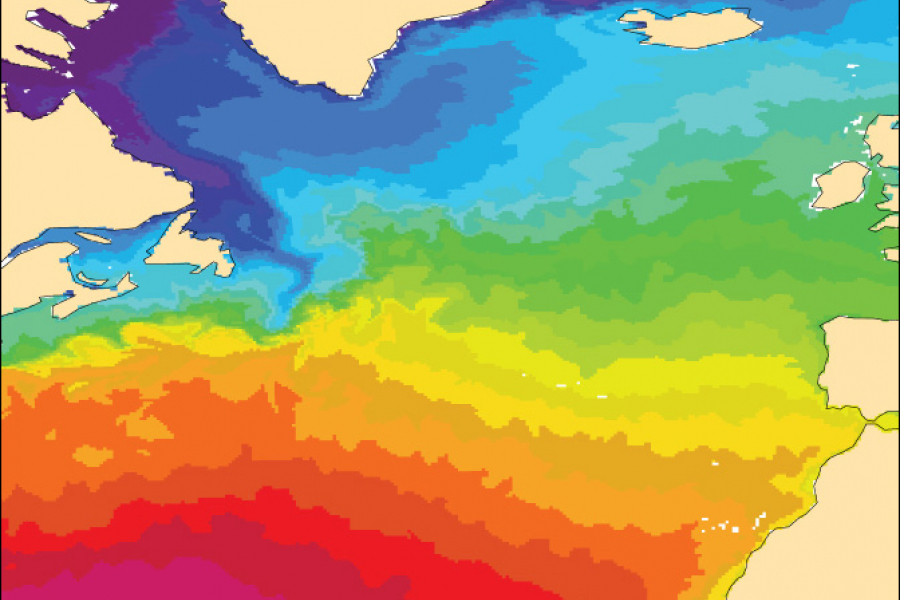 Sea-surface temperature chart IFS Cycle 43r1