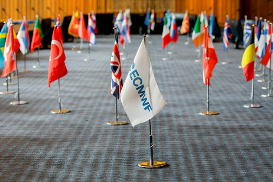 Flags council chamber