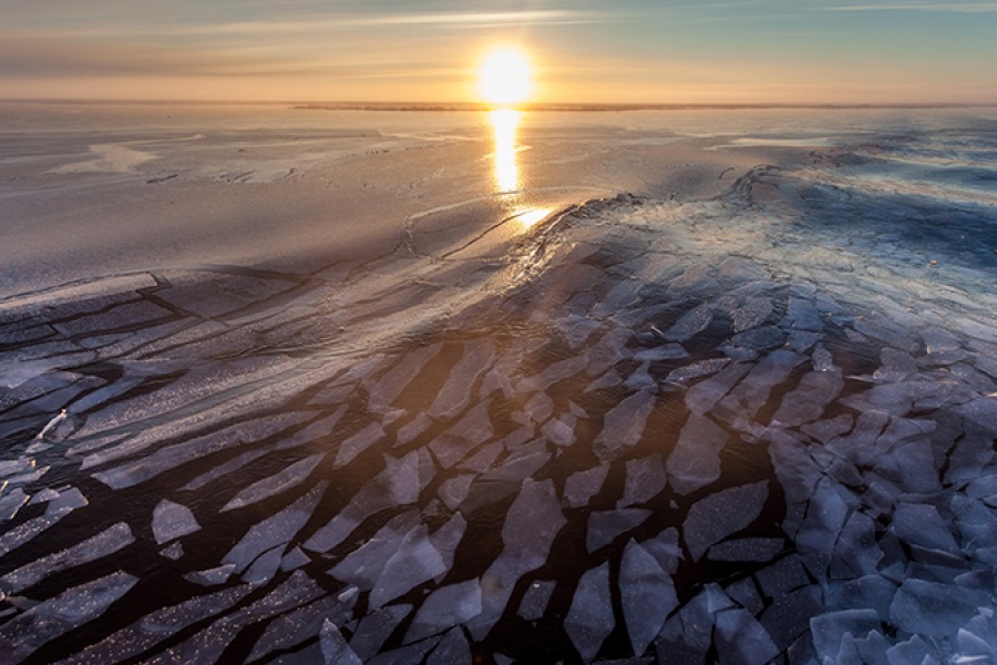 Arctic sea ice