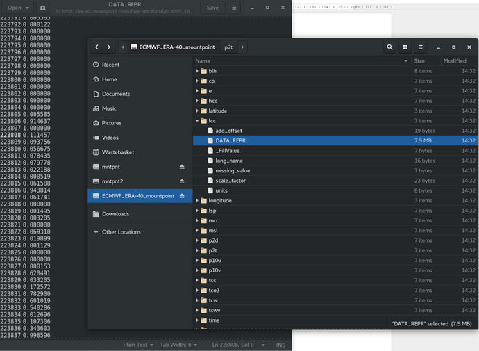 NetCDF as file system