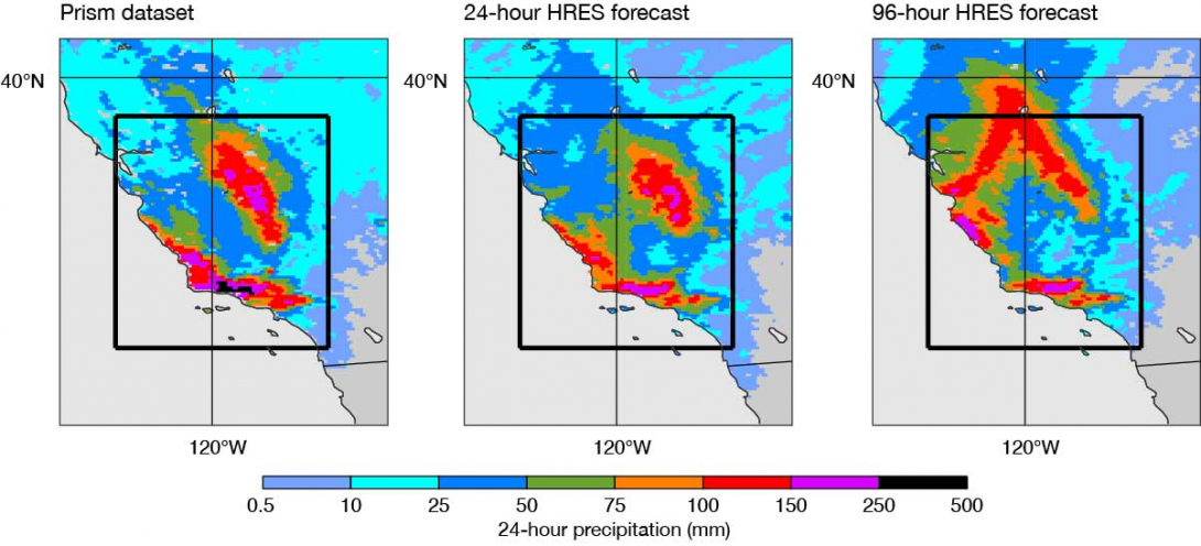 Precipitation observations and forecasts.