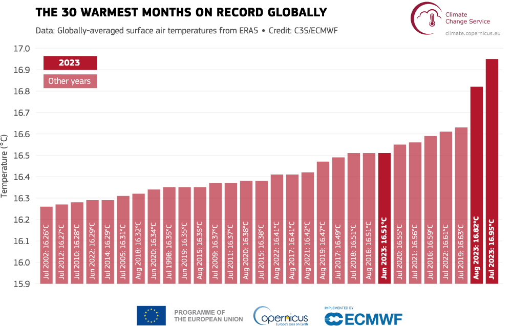 Monthly global average surface air temperatures of the 30 warmest months on record.