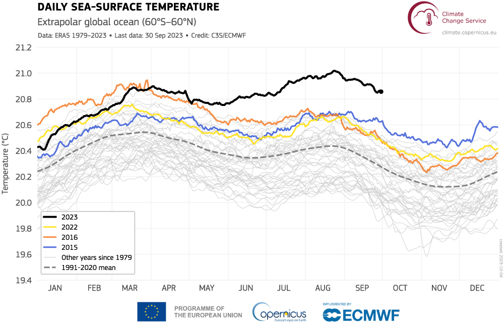 Daily sea-surface temperature.