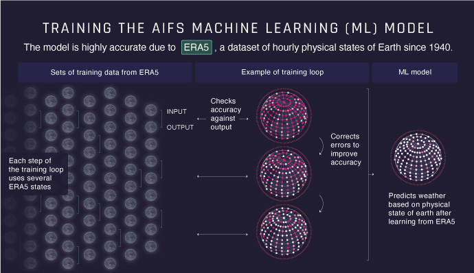 Training of the AIFS