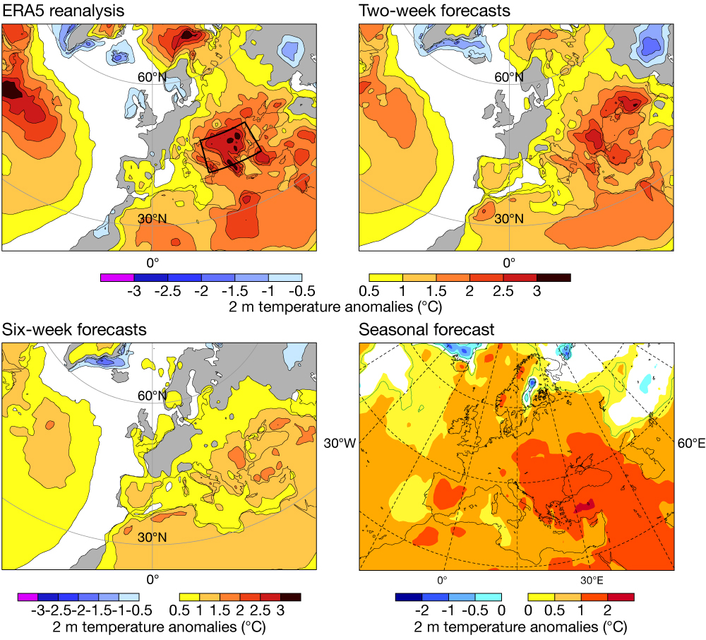 Temperature anomalies in reanalysis and forecasts.